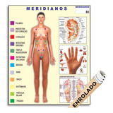 Mapa Meridianos Acupuntura Orelha Mão Pés Anatomia Corpo Humano Poster Enrolado