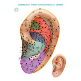 Mapa Pontos Auriculoterapia Chinesa Acupontos Auriculares Por Região Plastificado A4