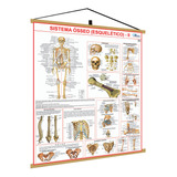 Mapa Sistema Esqueletico 2 Corpo Humano