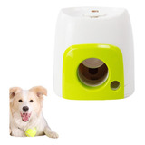 Cães