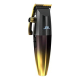 Bivolt