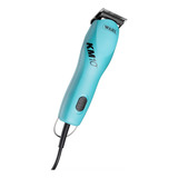 Bivolt