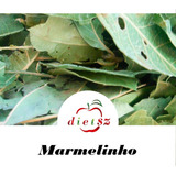 Marmelinho 100g Antibacteriano Dietsz Premium