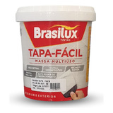 Massa Tapa Fácil Reparo Multiuso Nivelador Brasilux 150g