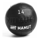 Medball Wallball Mamut Para Treinos De Crossfit (até 20lbs)