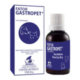 Medicamento Homeopático - Fator Gastropet - Arenales 26g