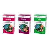 Bacter