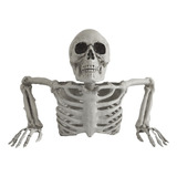 Meio Esqueleto Do Terror - Enfeite Decoração De Halloween