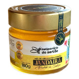 Mel De Jandaíra - 100% Orgânico - Meliponário Do Sertão! 