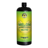 Melon Shampoo Automotivo Snow Foam Easytech 1,5l 1:400