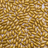 Miçanga Arroz Liso 4x8mm 1000un Dourado