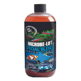 Microbe Lift Special Blend 473ml Acelerador Biológico