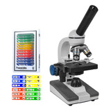 Microscópio 640x Monocular + 12 Lâminas