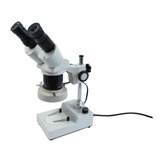 Microscópio Binocular 20x-40x Estereoscópio