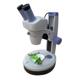 Microscópio Estereoscópico Binocular Aumento 10x 20x