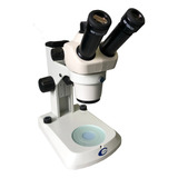 Microscópio Estereoscópio Para Lapidação Dos Folículos