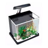 Mini Aquario Boyu Model Me-350 Led 19l Preto 110v Spid Fish