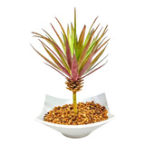 Decorativo