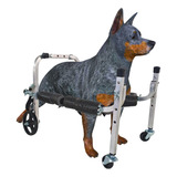 Mini Cadeira Andador 4 Rodas Cachorro