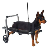 Mini Cadeira De Rodas Cachorro Cão