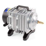 220v