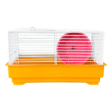 Mini Gaiola Hamster Topolino Anão Russo