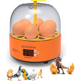 Mini Incubadora Chocadeira Elétrica 6 Ovos