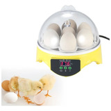 Mini Incubadora Digital Para 7 Ovos, Ca 110v