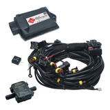 Mini Kit Sgv 148 Sgas Plus 4cc Obd Gnv Original