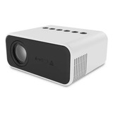 Bivo