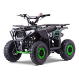 Mini Quadriciclo Infantil A Gasolina Fun Motors Flash 49cc Cor Verde Voltagem Do Carregador 110v/220v