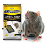 Mini Ratoeira Adesiva Pega Rato Camundongo