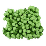 Fluorescente