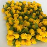 Amarelo