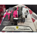 Miniatura F1 1/18 Schumacher Anatomy Of A Champion