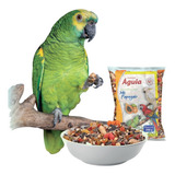 Mistura De Sementes E Mel Para Pássaros - Produtos Águia Espécies De Aves Papagaio - Mistura Com Mel + Frutas