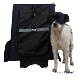 Mochila Pet Trasportar Animais Ate 20 Kg Tam M Cor Preta