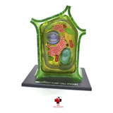 Med