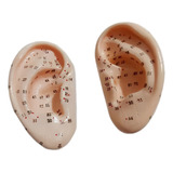Modelo De Orelha Silicone P/ Estudo 8cm Par -auriculoterapia
