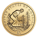 Moeda De 1 Dolar Serie Sacagawea 2009 Letra P Flor De Cunho