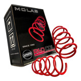 Molas Esportivas Red Coil Golf Tsi 2014 Em Diante!!
