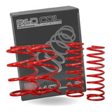 Molas Esportivas Red Coil New Civic