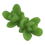 Molde De Silicone Mini Suculenta Jade