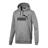 Moleton Essentials Fleece Hoody Medium Gray Heather