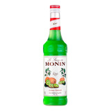 Monin Xarope Kiwi 700ml