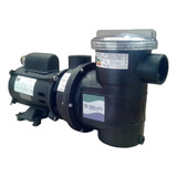 Moto Bomba Para Piscina 1/2 Cv Sibrape Motor Weg 110/220v