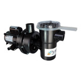 Moto Bomba Para Piscina Nautilus 3/4 Completa Weg Pré Filtro