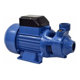 Moto Bomba Periferica 1cv Dancor 127/220v Rotor Em Bronze