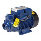 Moto Bomba Periférica 1cv Eletroplas 127/220v Rotor Em Latão