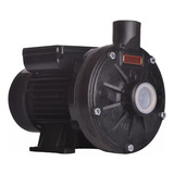 Motobomba Centrífuga Monoestágio Th-16p 3/4cv 127/220v Thebe Cor Preto Fase Elétrica Monofásica Frequência 60 Hz
